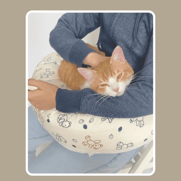 Cozy Free Your Lap Detachable Work From Home Clingy Cat Bed