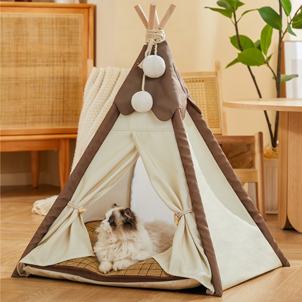 a ragdoll cat is lying in pet tent