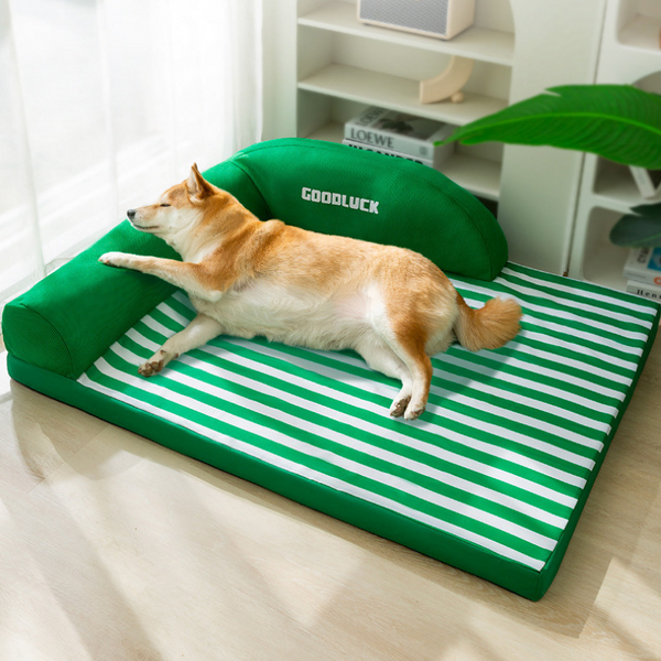 a shiba dog is sleeping in bed with bolster