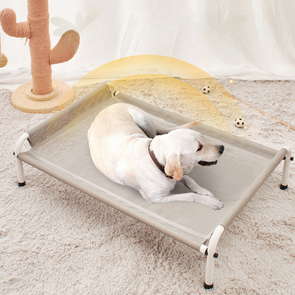 a dog stting on a khaki raised dog bed