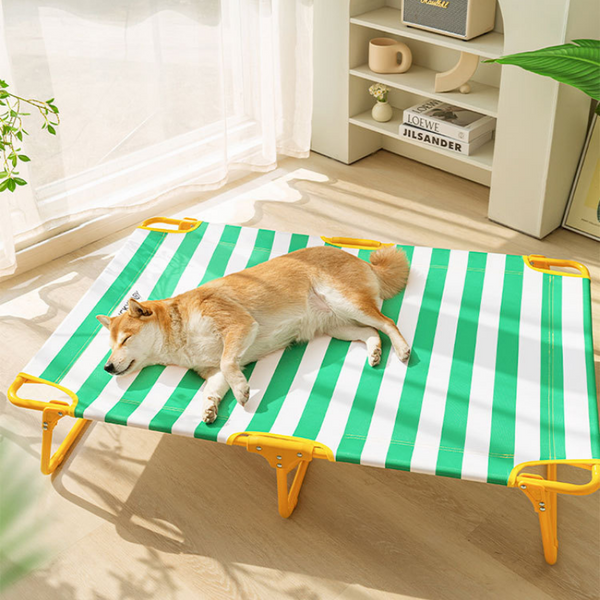 a shiba dog is sleeping on a large elevated dog bed