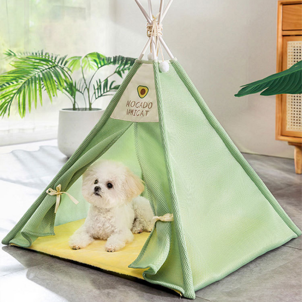 a dog is inside a light green pet tent