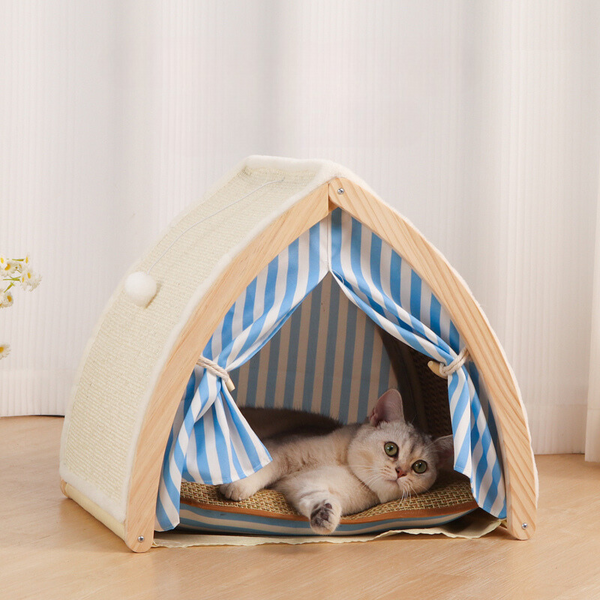 addorable cat is hiding in a pet tent
